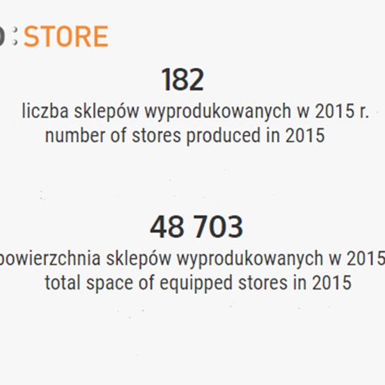 APodsumowanie pracy Ergo Store