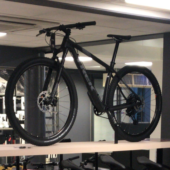 Aza nami pierwsze produkcje w Holandii